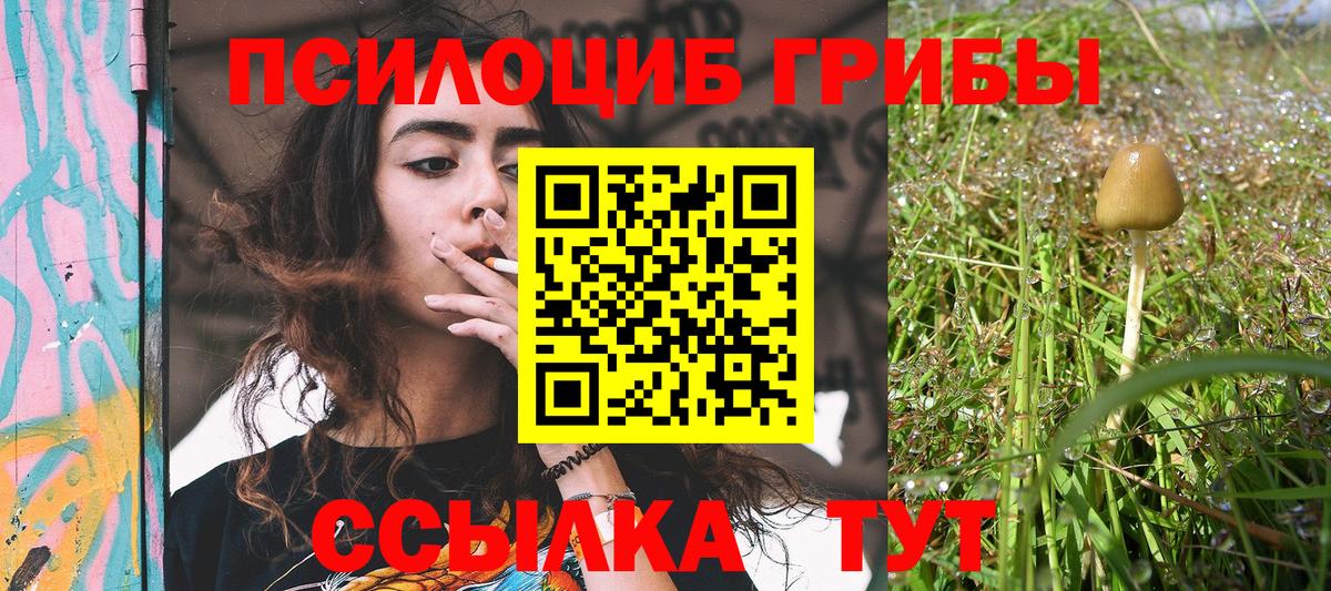 Псилоцибиновые грибы Psilocybine cubensis Оренбург